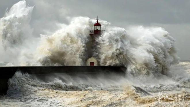 海啸最新动态与小巷独特风味探索