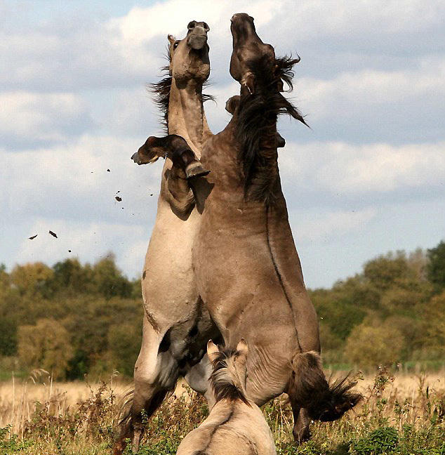 最新趣图,高科技产品引领未来潮流,改变生活新篇章