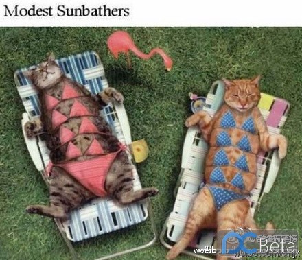 最新趣图,高科技产品引领未来潮流,改变生活新篇章