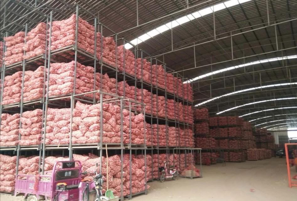 大蒜最新价格及小巷深处的独特风味探索