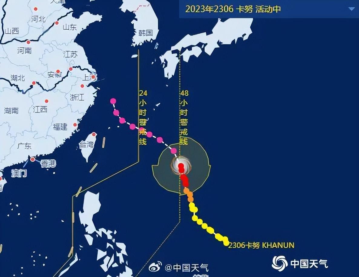 最新台风登录，风中有故事，温馨相伴的守护