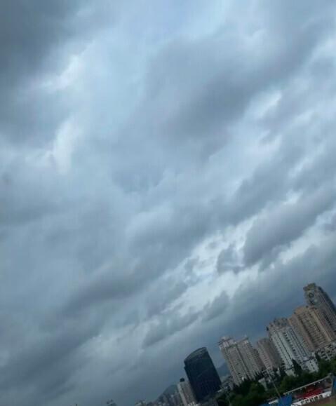 最新台风登录,风中有故事,温馨相伴的守护