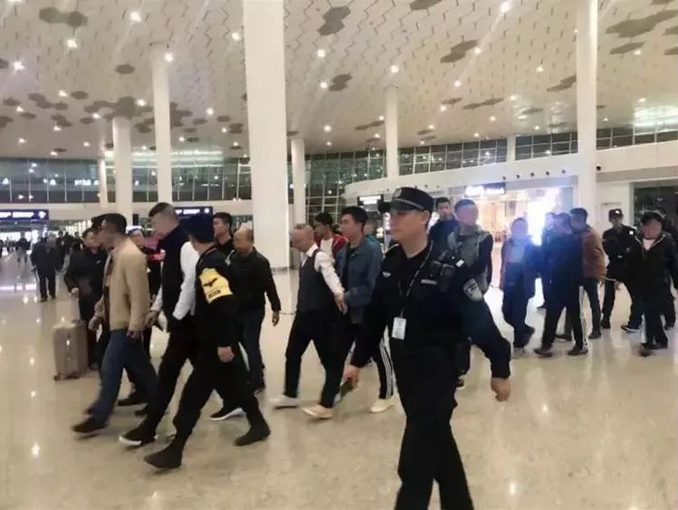 深圳机场最新动态,引领航空业发展前沿信息