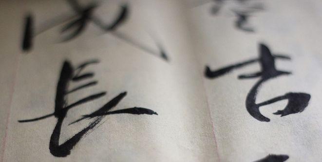 雄霸蛮荒最新章节,荒野上的温情日常