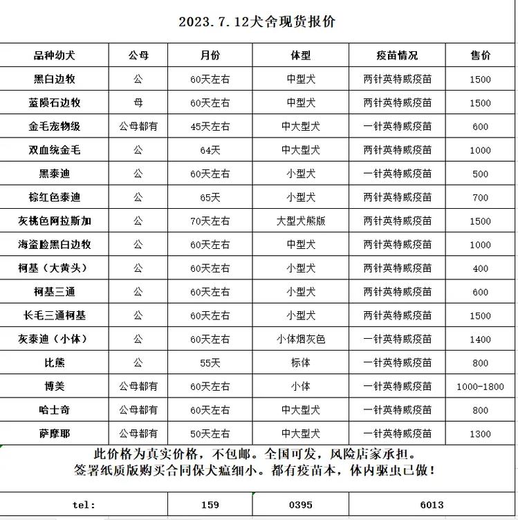 马犬最新价格，变化中的价值与学习的力量探索