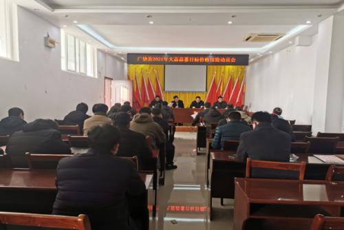 全国蒜薹最新价格回顾与洞察，洞悉市场动态，洞悉未来趋势