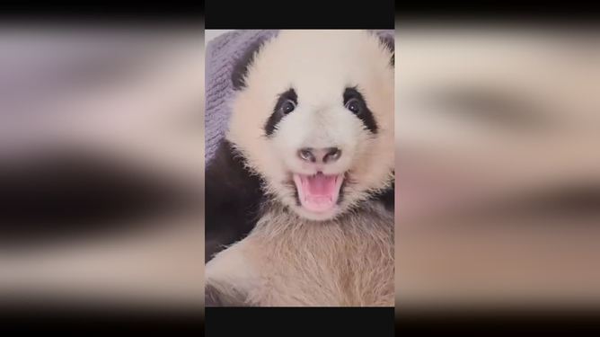 哺乳视频,自信与成就感的哺育成长之旅