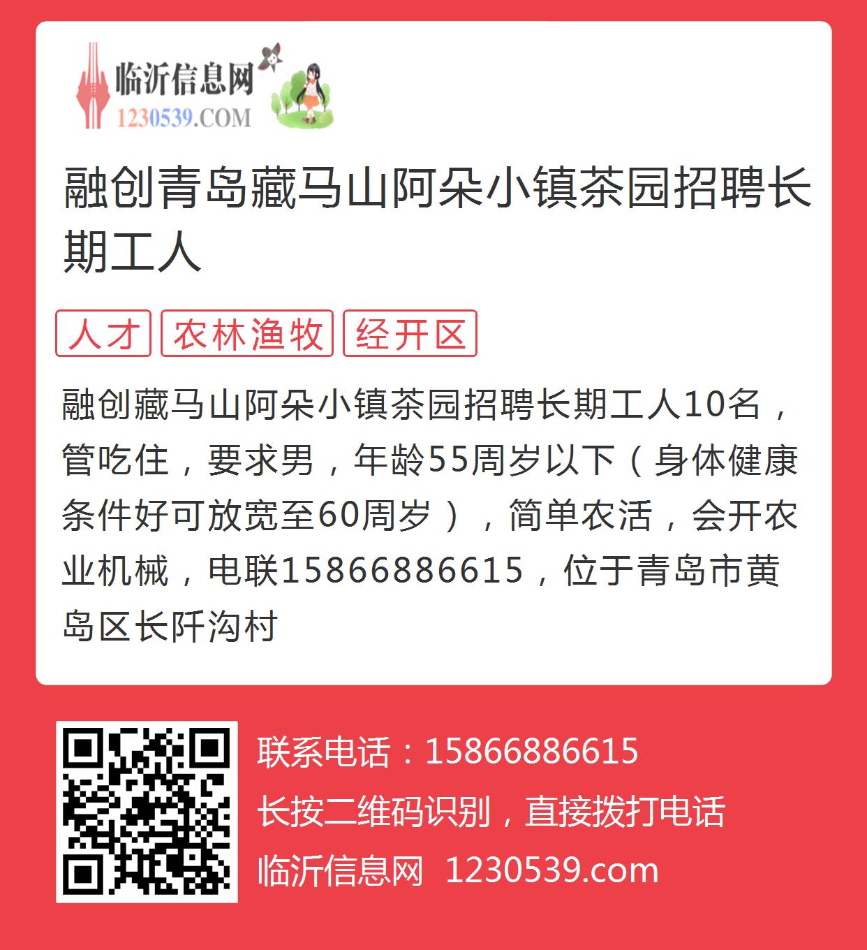 茶园最新招聘信息揭秘，小巷里的秘密花园岗位招募