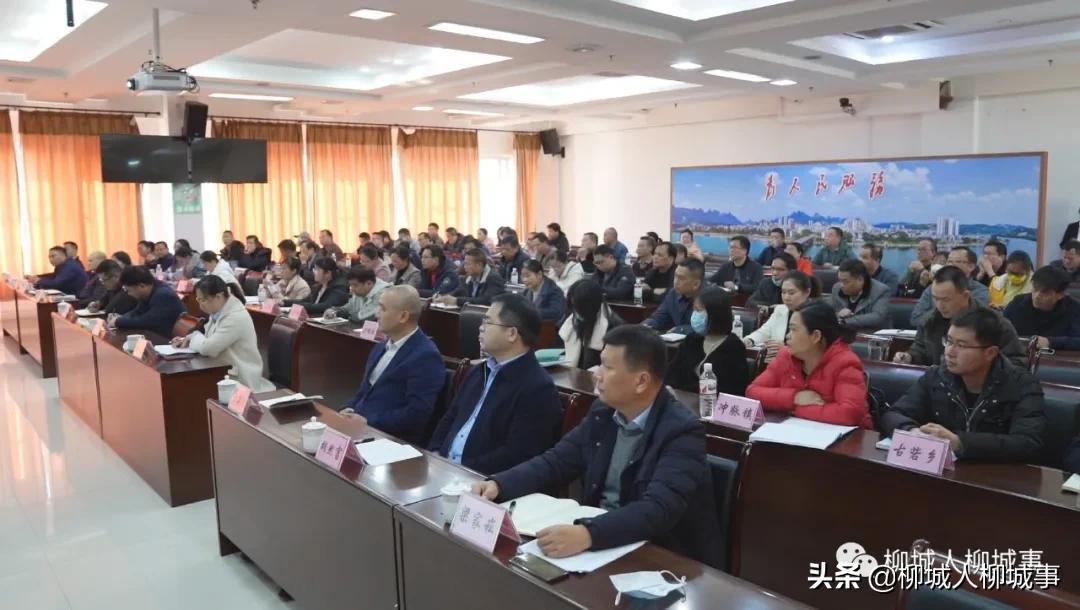 韦文学最新视频,展现热点聚焦的独特魅力