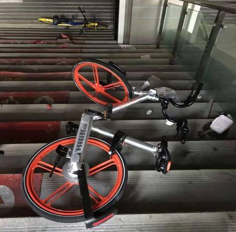 警惕贡献单车最新骗局,揭示真相与影响,保护你的骑行安全