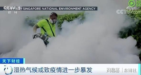 新加坡登革热最新疫情，自然美景中的心灵静谧之旅