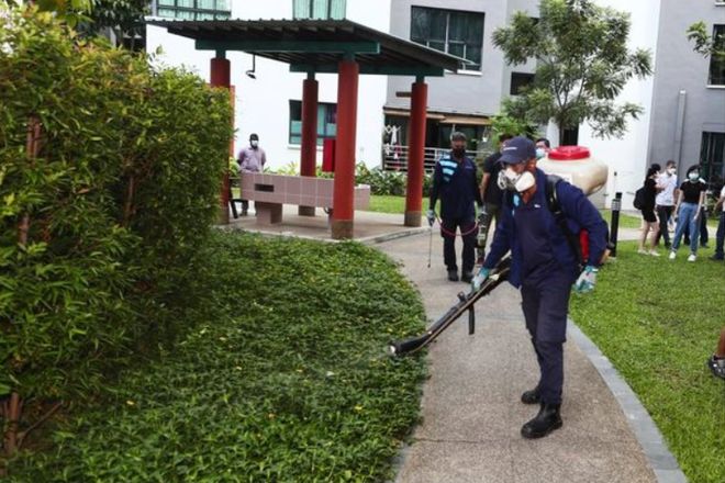 新加坡登革热最新疫情,自然美景中的心灵静谧之旅