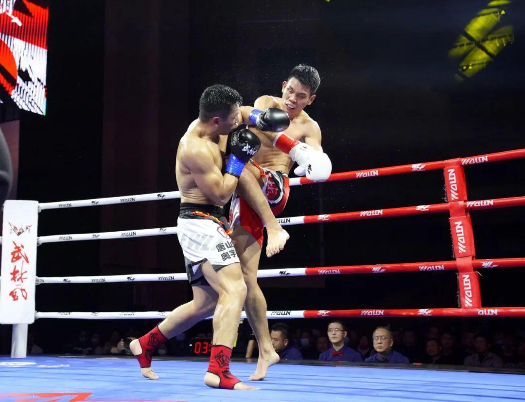 韩文豹赛场展现温情与友情,最新比赛回顾