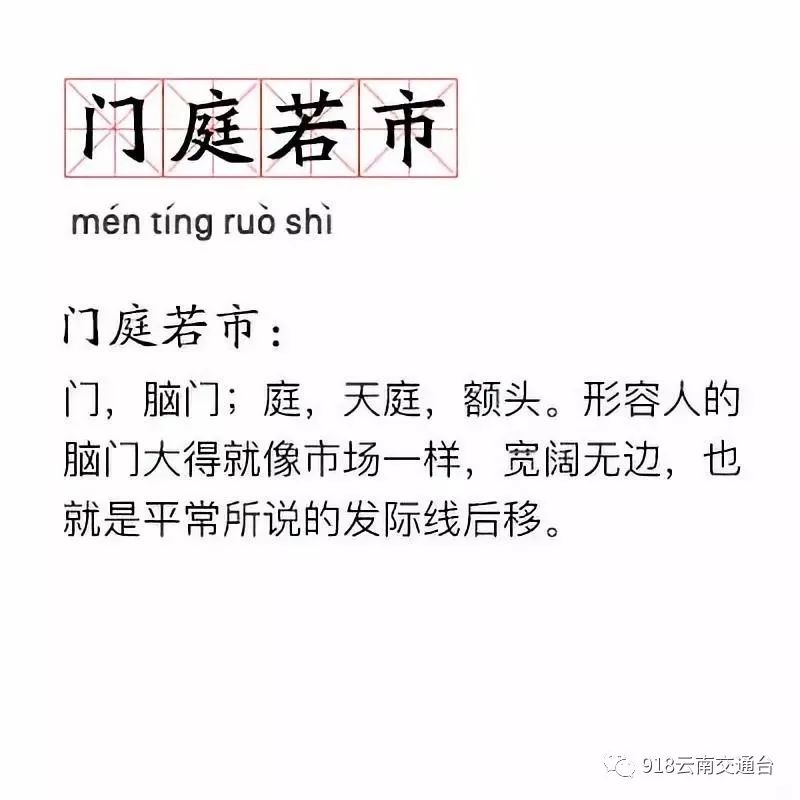 最新网红词现象,社会热潮与影响深度探讨
