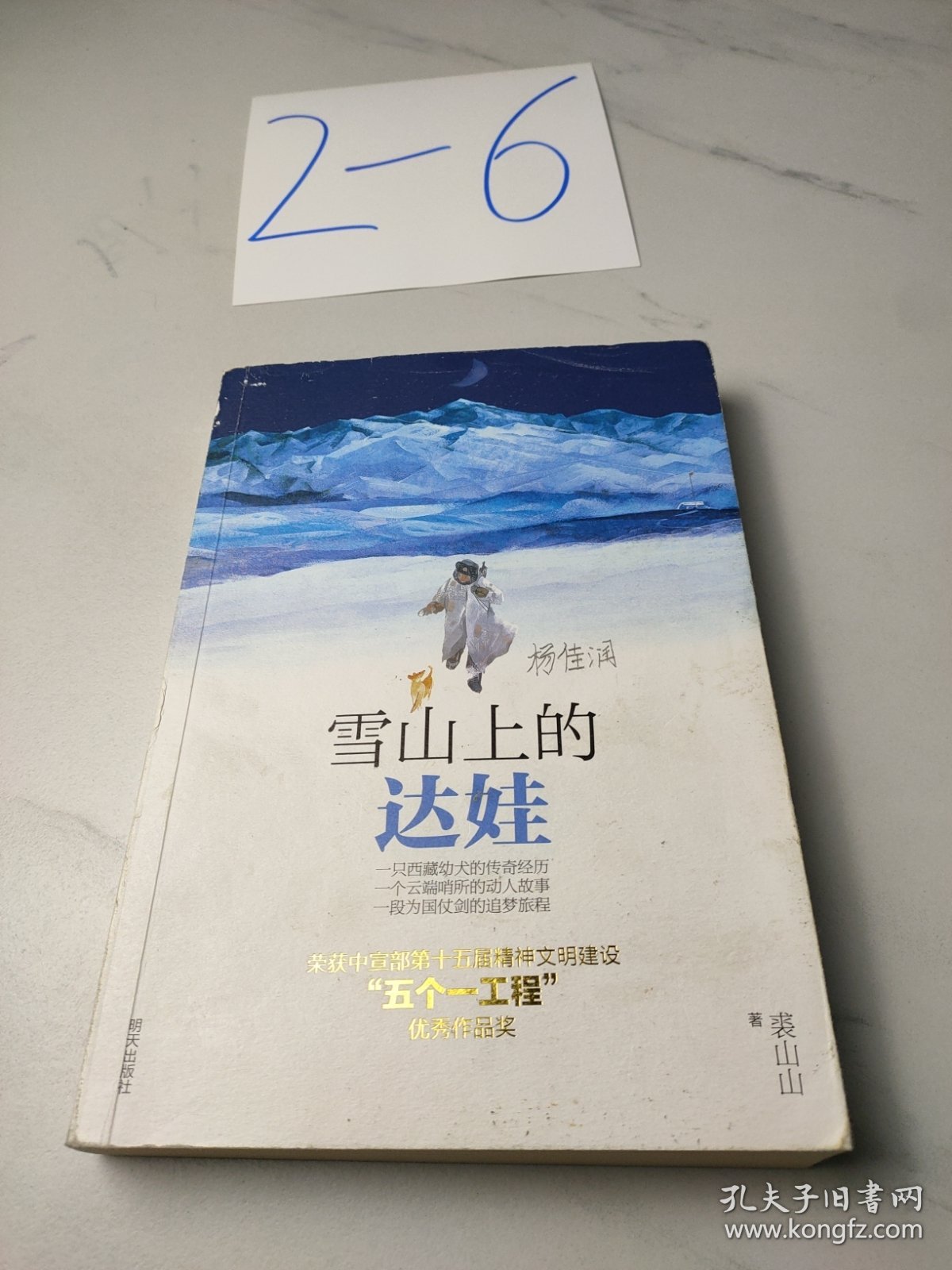 达娃最新小说揭秘科技巨擘的高科技产品世界