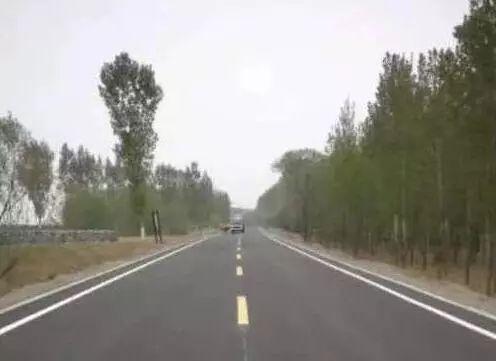 原阳最新新闻报道