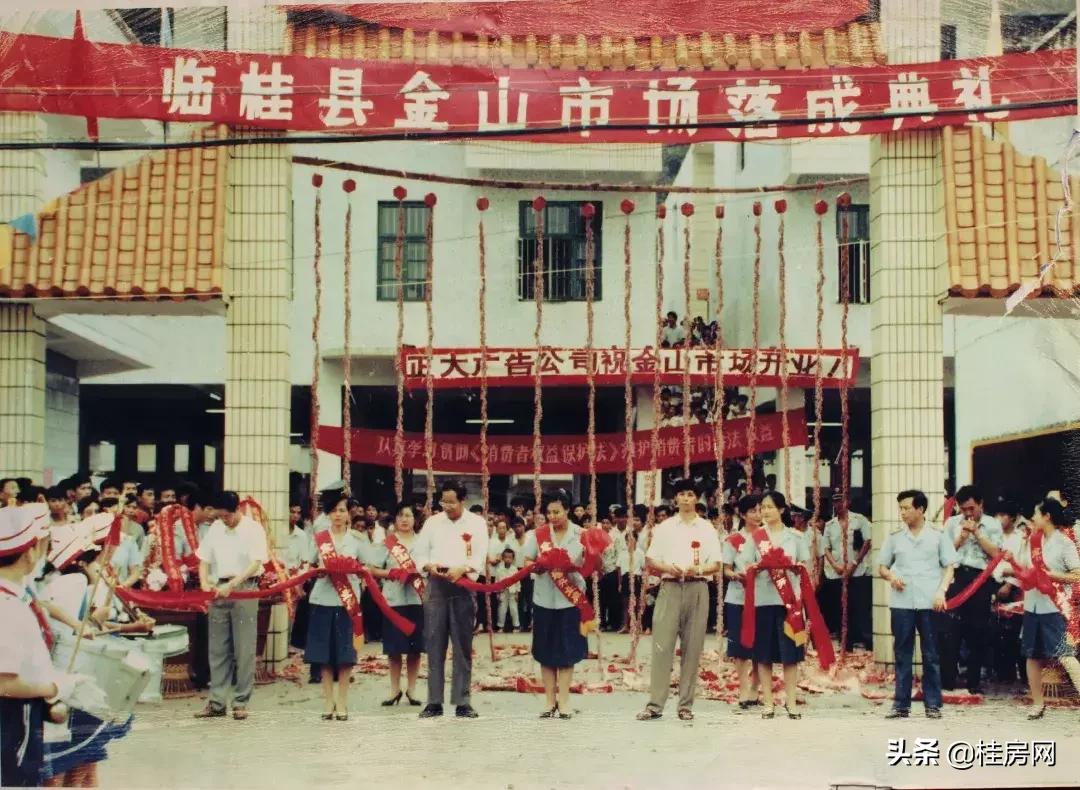 临桂最新新闻,高科技产品革新生活体验,引领未来趋势