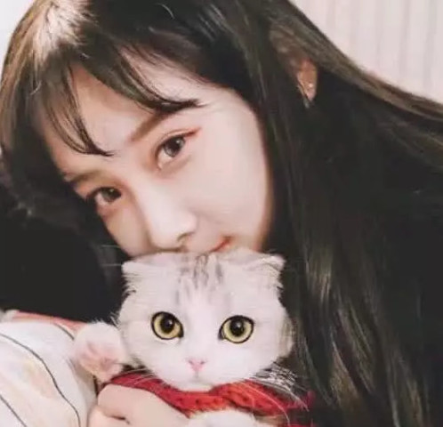 最新头像大全女,小巷中的秘密宝藏精选