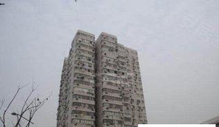 泥城最新房价概览与动态分析