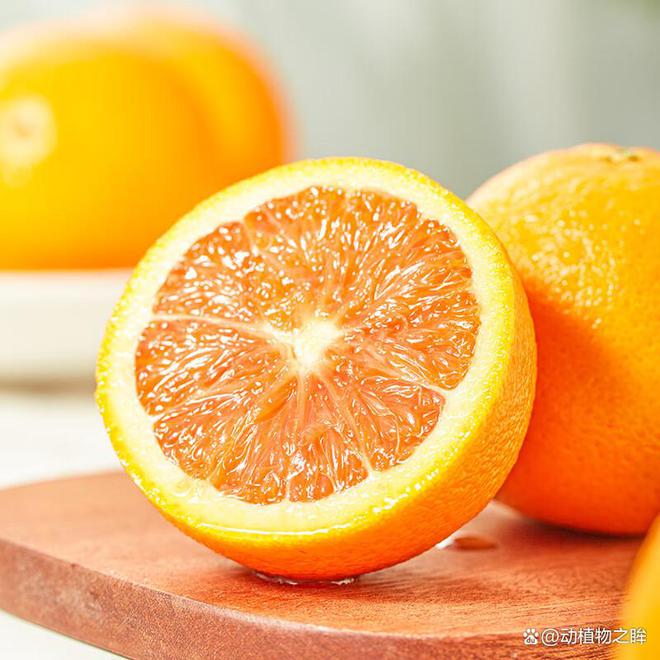最新脐橙品种探索之旅,自然美景的味蕾盛宴