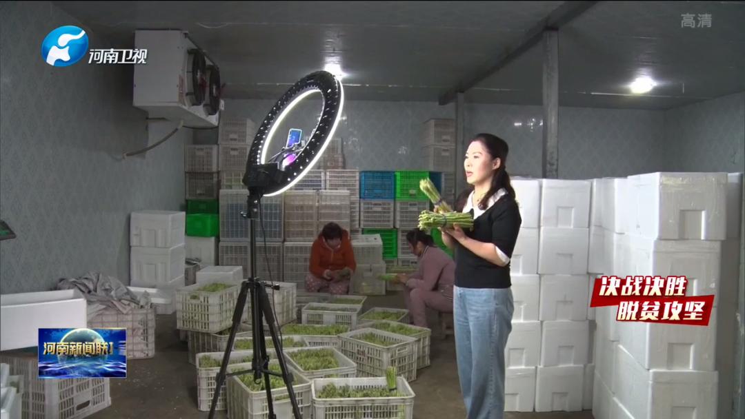 睢县小巷深处的独特风味,最新新闻报道