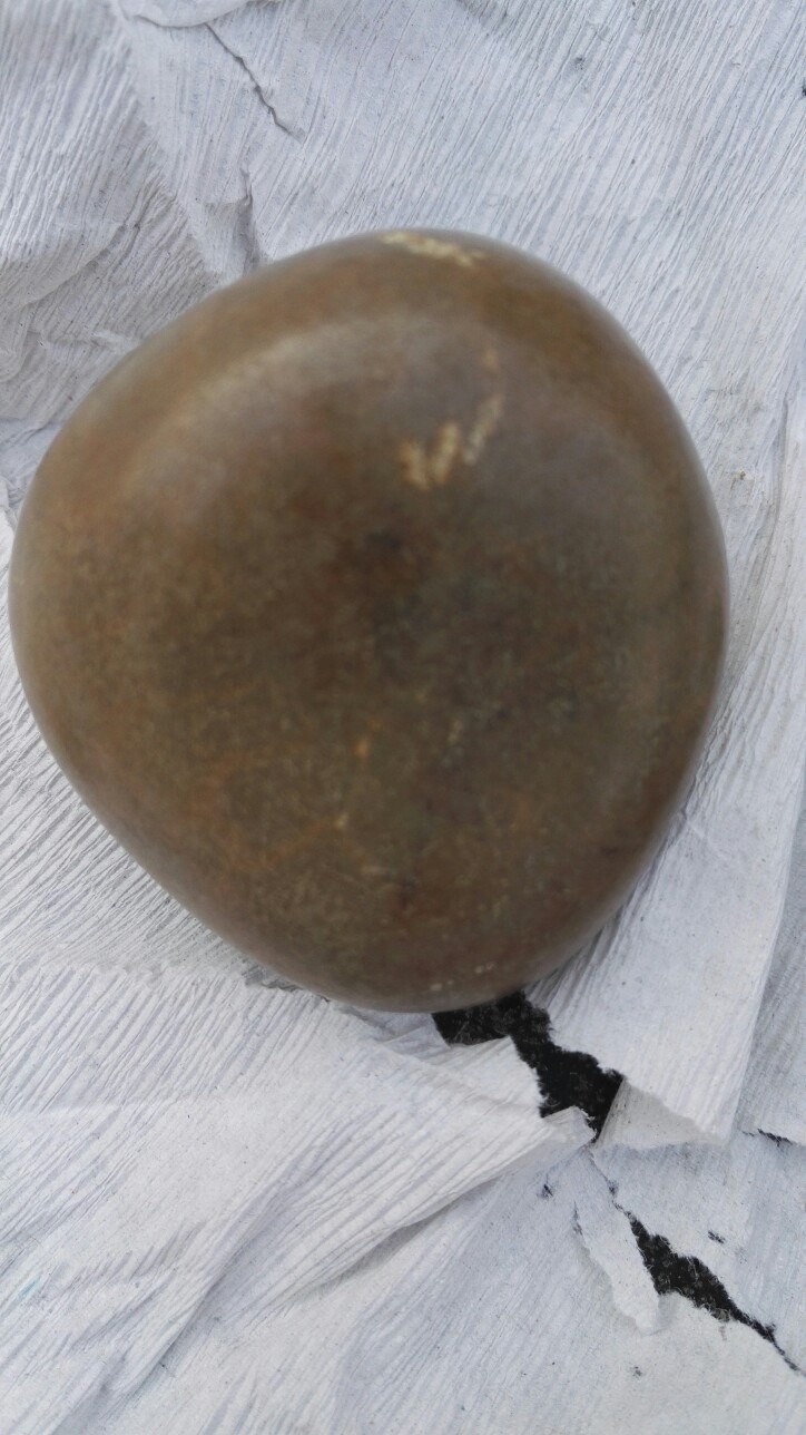 驴宝最新价格,科技重塑价值,引领未来生活趋势