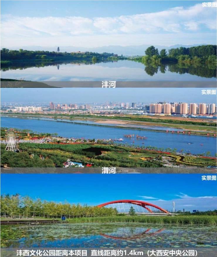 正阳大道最新动态，启程心灵之旅，拥抱自然之路