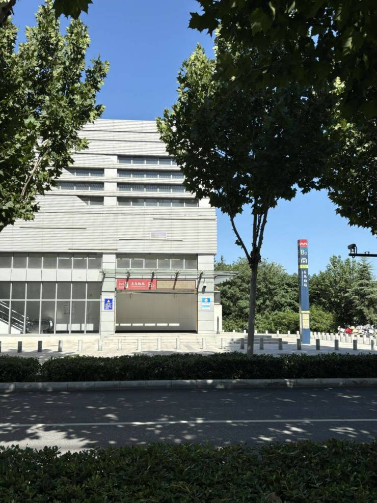 正阳大道最新动态,启程心灵之旅,拥抱自然之路