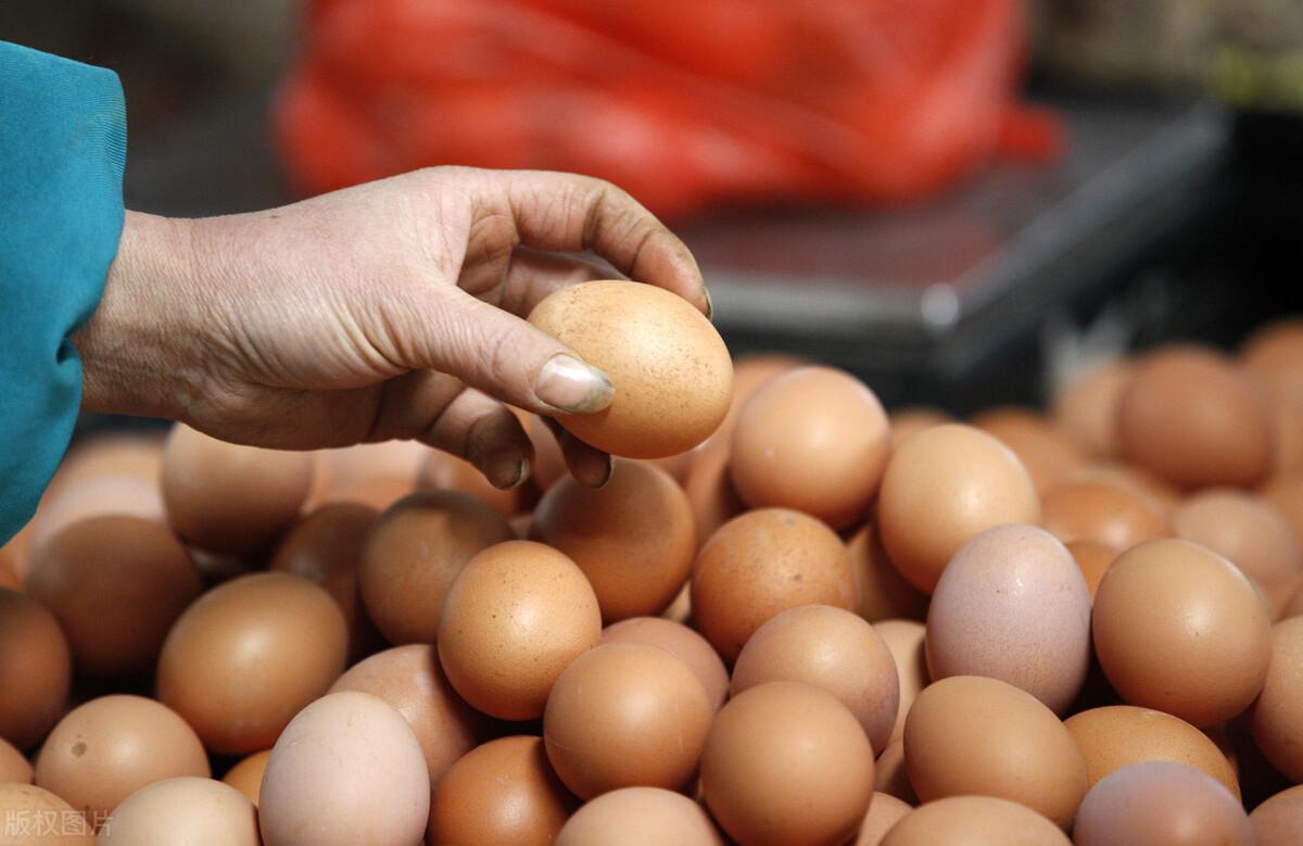 北京鸡蛋最新价格及分析其影响因素