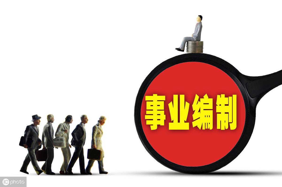 太和最新招聘启航，自信与成就同行，共启新征程