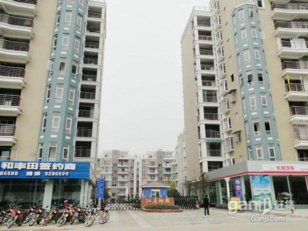 苍溪最新租房信息,小巷深处的独特风情小屋