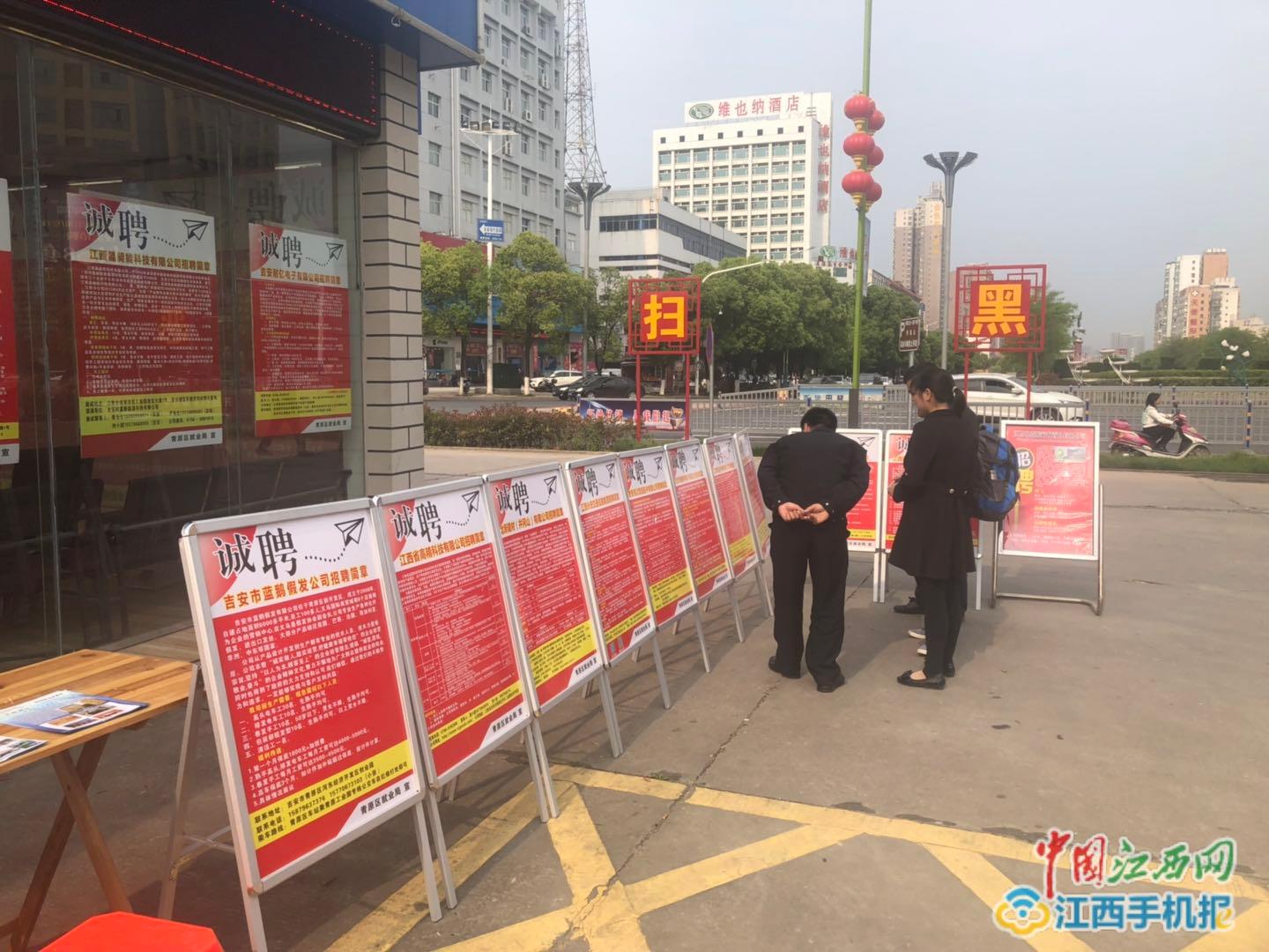 青原区最新招聘启航,自然美景的治愈之旅探索招募中