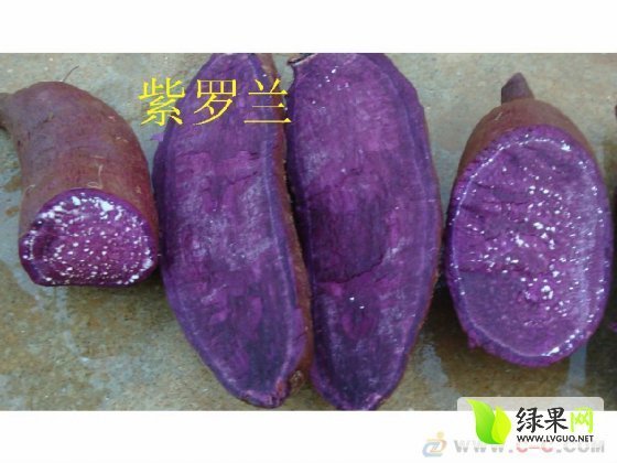 紫薯最新价格,时代背景下的波动及其影响