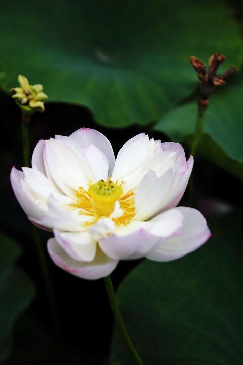 498cao最新日常趣事分享