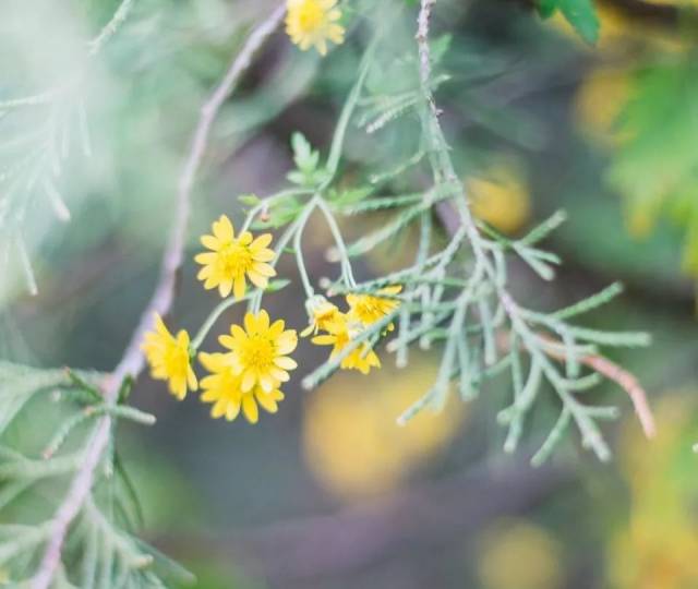 498cao最新日常趣事分享