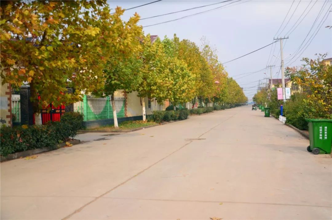 杞县最新楼盘的日常趣事概览