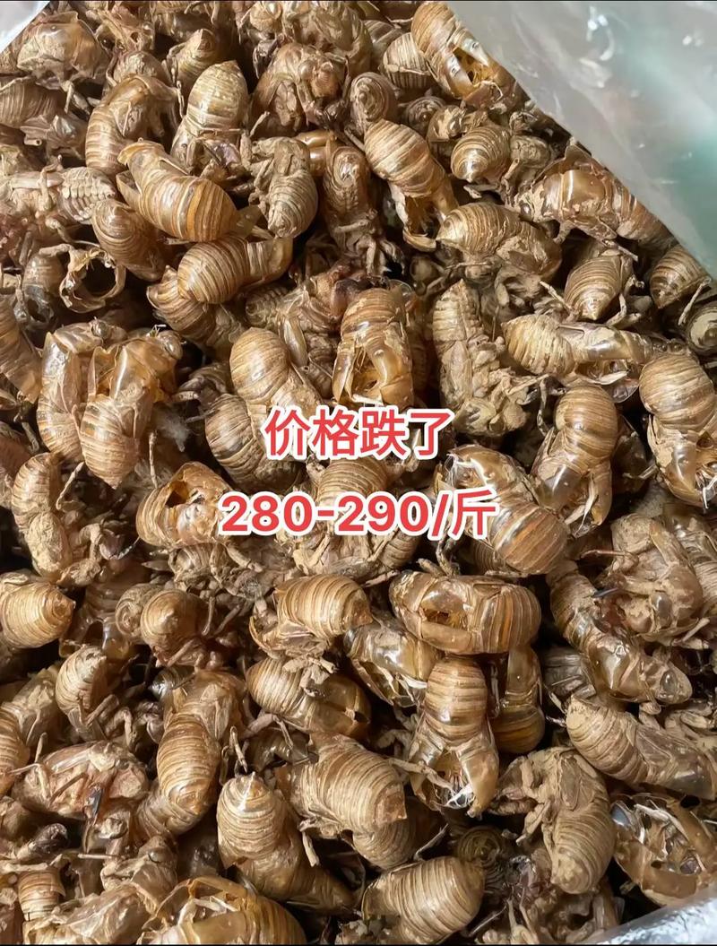 停车场服 第107页