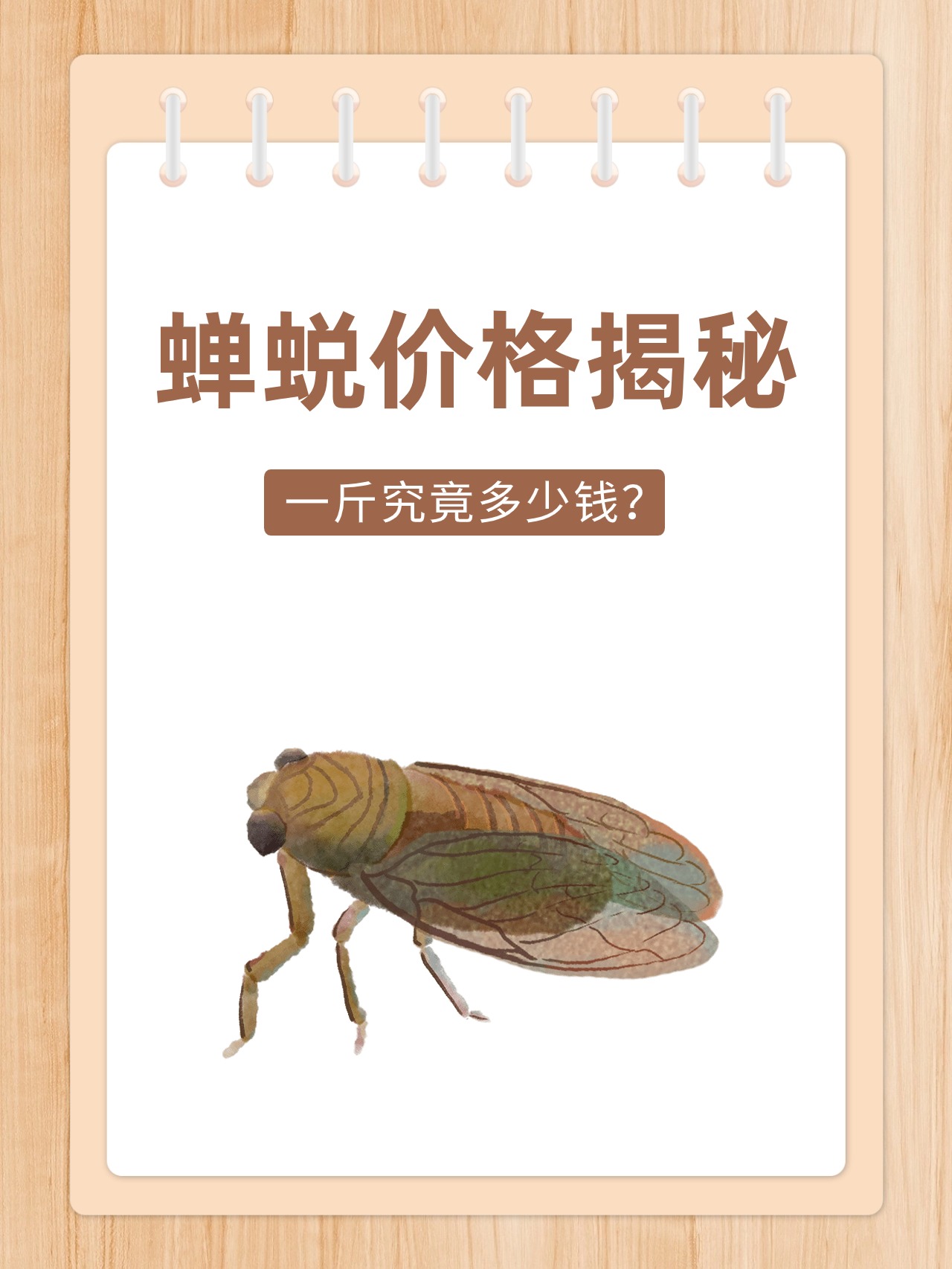 毫州蝉蜕最新价格及指南,获取与理解蝉蜕价格的方法与策略