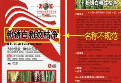 最新农药招聘信息及求职技能提升指南