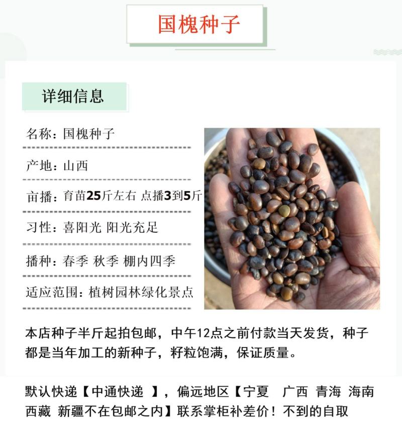 国槐最新求购信息及详细步骤指南