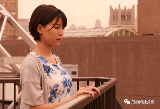 葵司2025最新指南，从入门到进阶的任务与学习技能详细步骤攻略