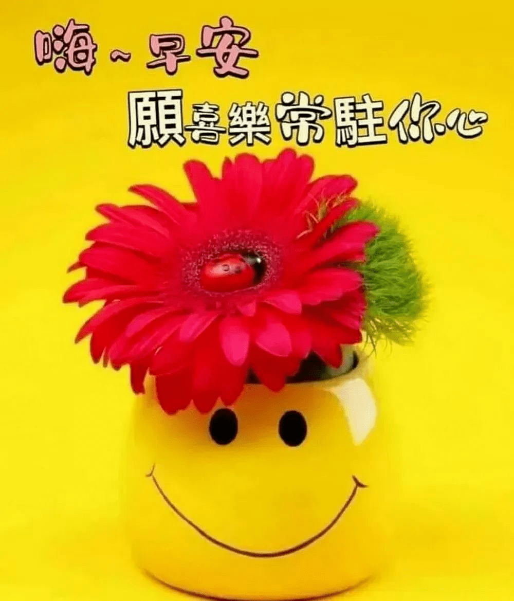 最新上午好图片，视觉问候的力量、影响与温馨传递