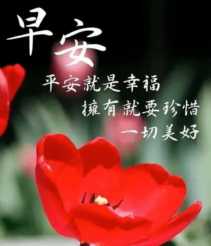 最新上午好图片,视觉问候的力量、影响与温馨传递