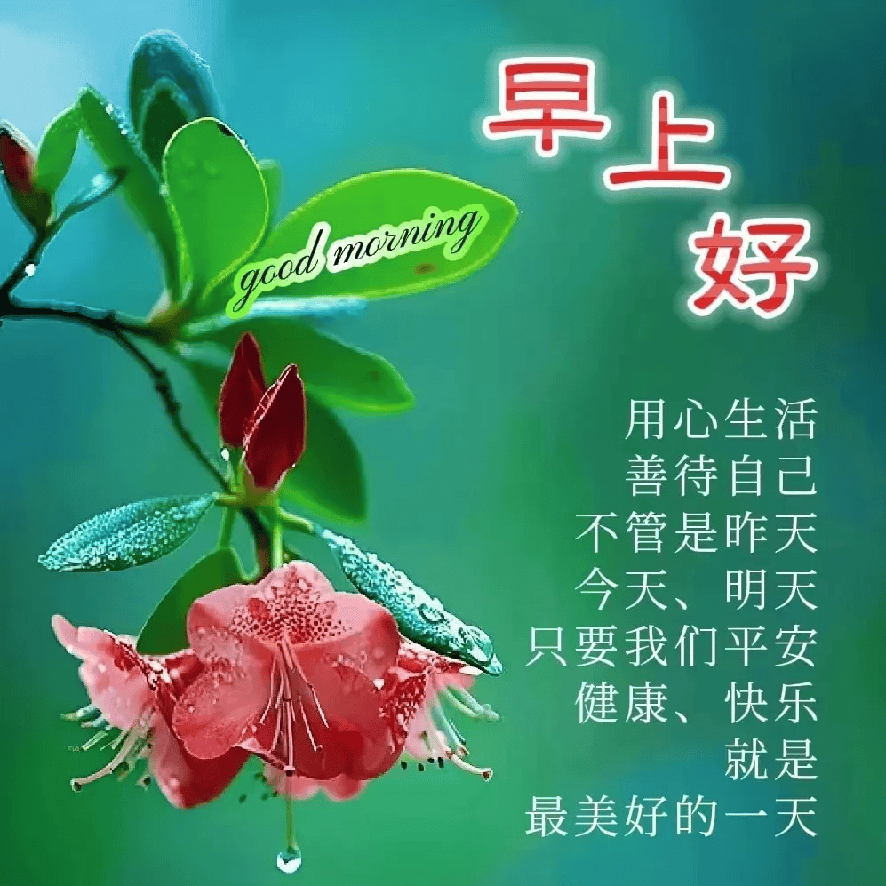最新上午好图片,视觉问候的力量、影响与温馨传递