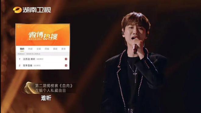 最新歌手2025,小巷深处的音乐宝藏探索