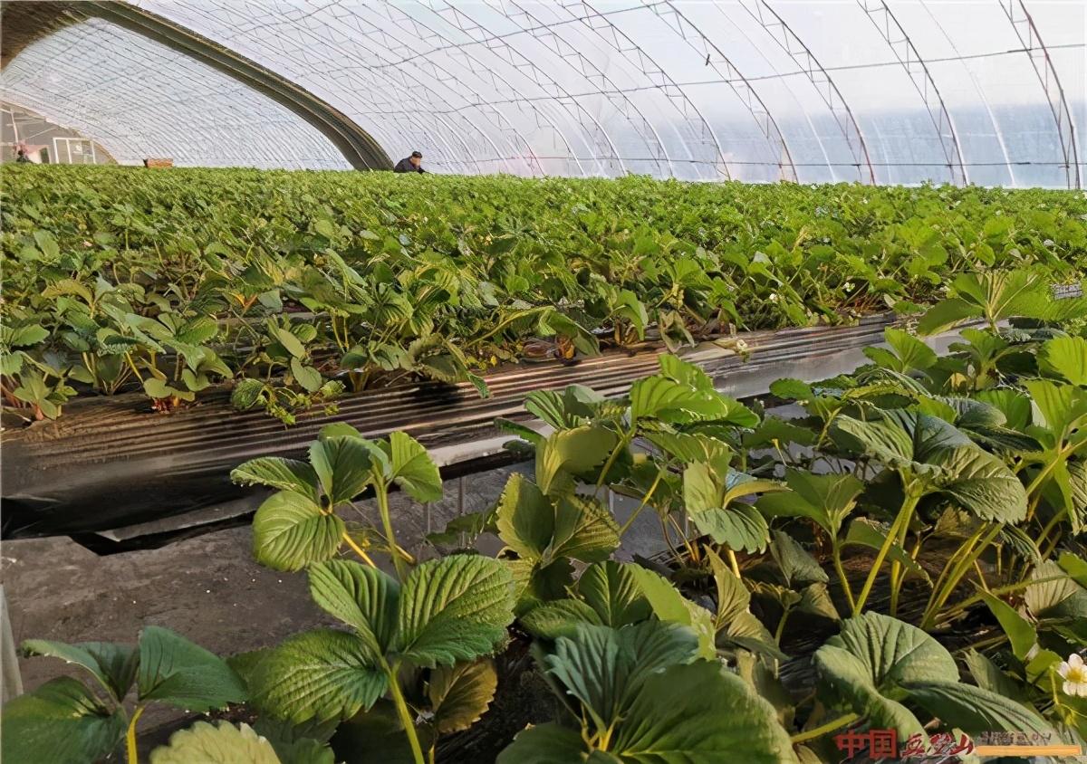 以色列劳务动态更新,走进自然的心灵宁静之旅