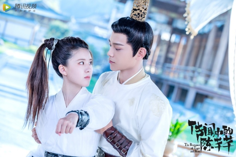 最新热门网剧,时代印记与文化脉搏的体现