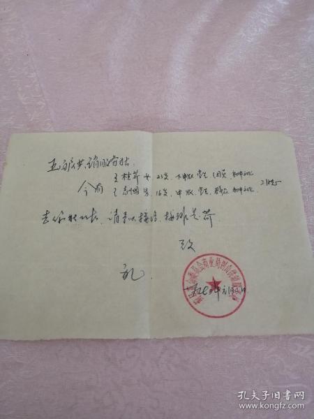 最新白户口子科普文章解析