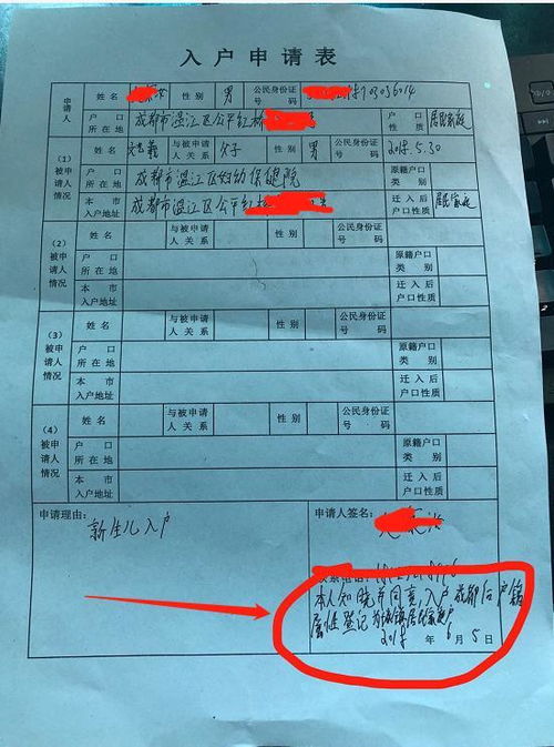 最新白户口子科普文章解析