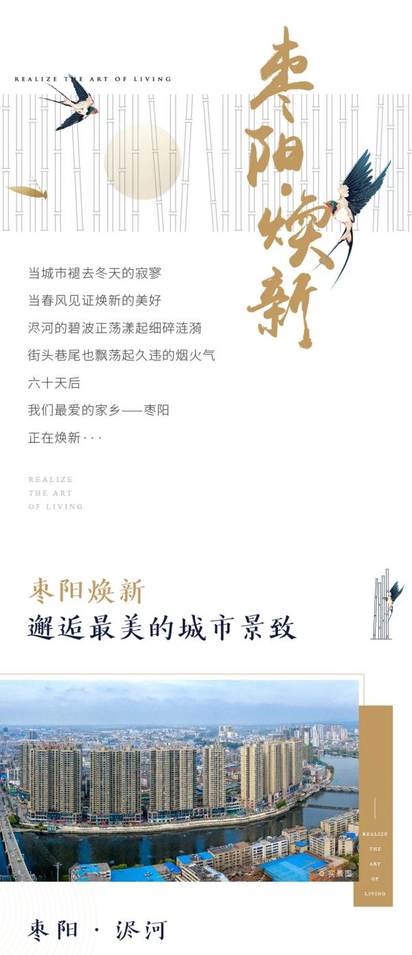 枣阳最新楼盘详解,如何选择适合自己的住房指南